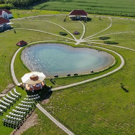 Franciska Major, Pro Village Hotel