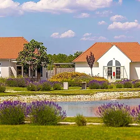 Franciska Major, Pro Village Hotel Sopronkovesd